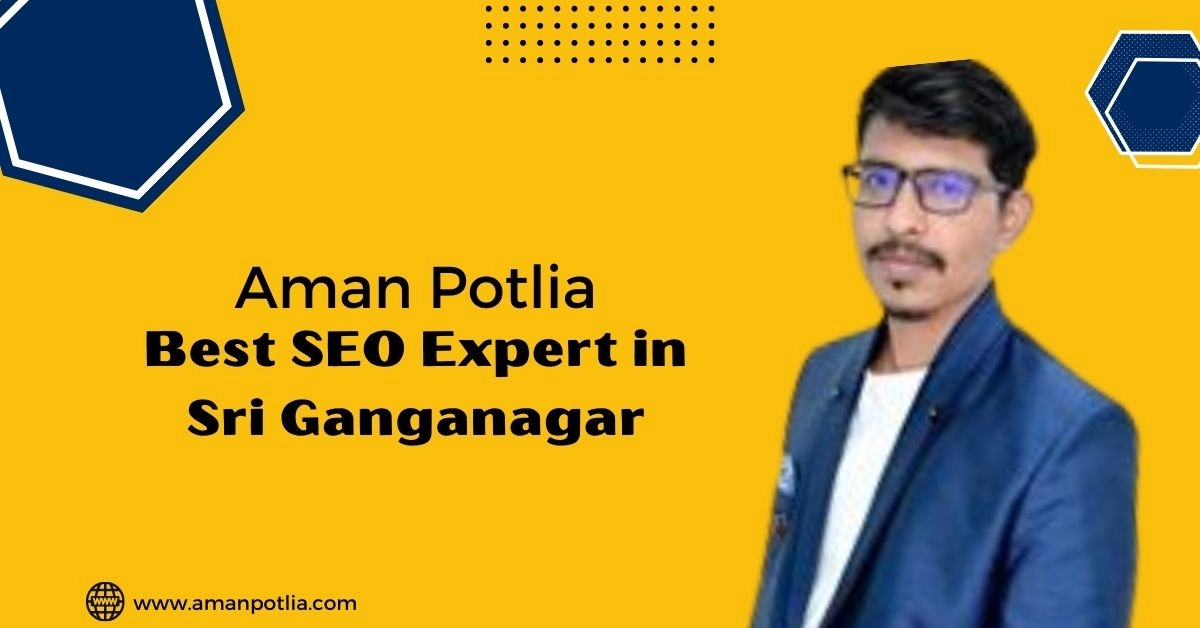 Best SEO Expert In Sri Ganganagar - Aman Potlia
