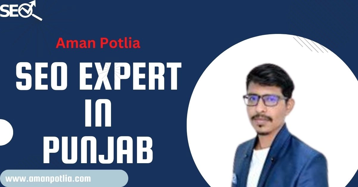 Best SEO Expert in Punjab