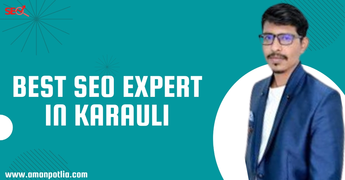 Best SEO Expert In Karauli